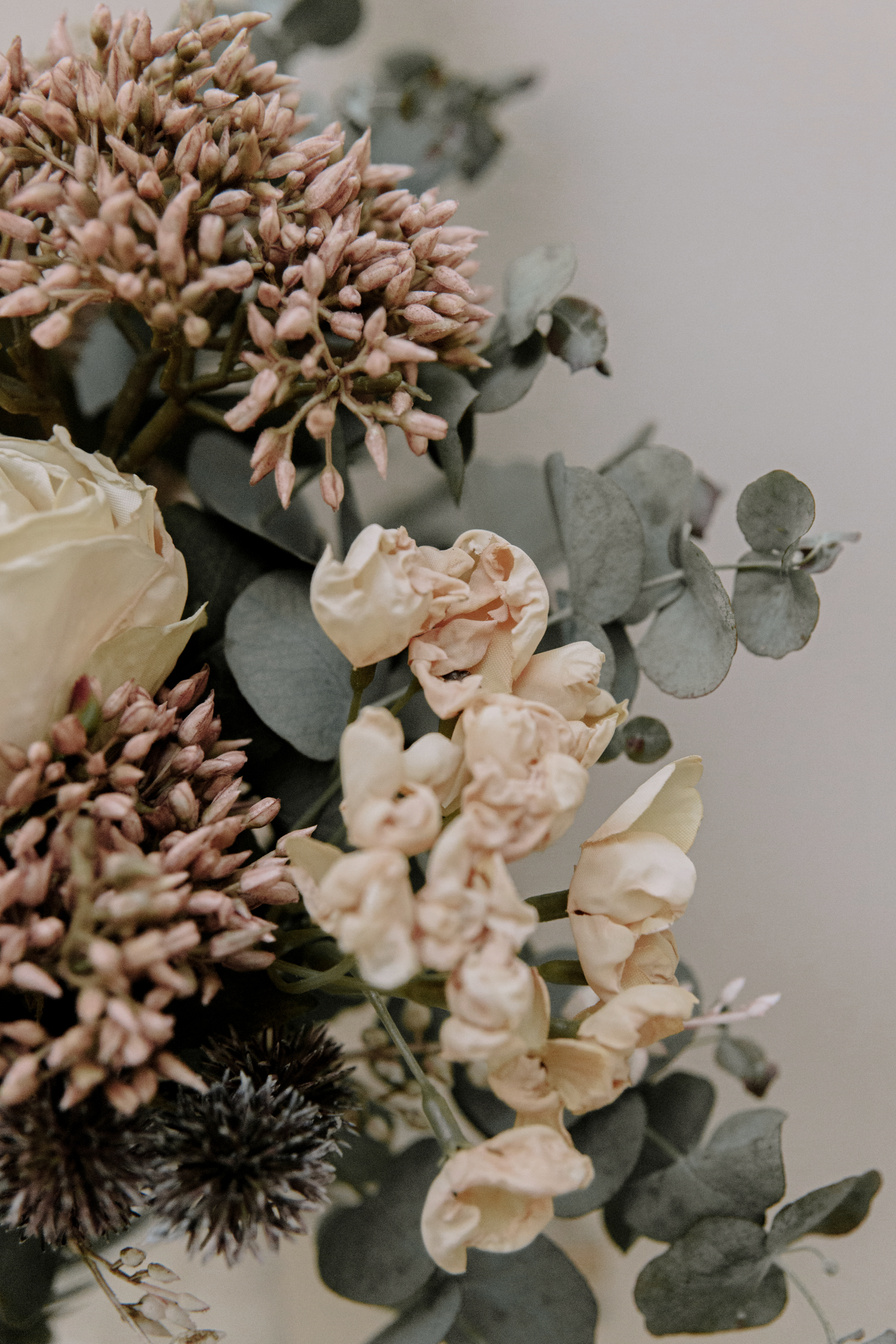 Dried Flowers on Light Background